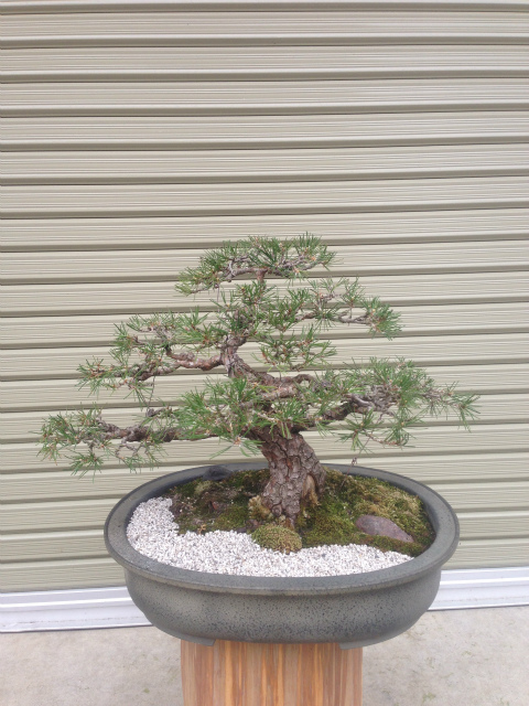 作品集・葉月園